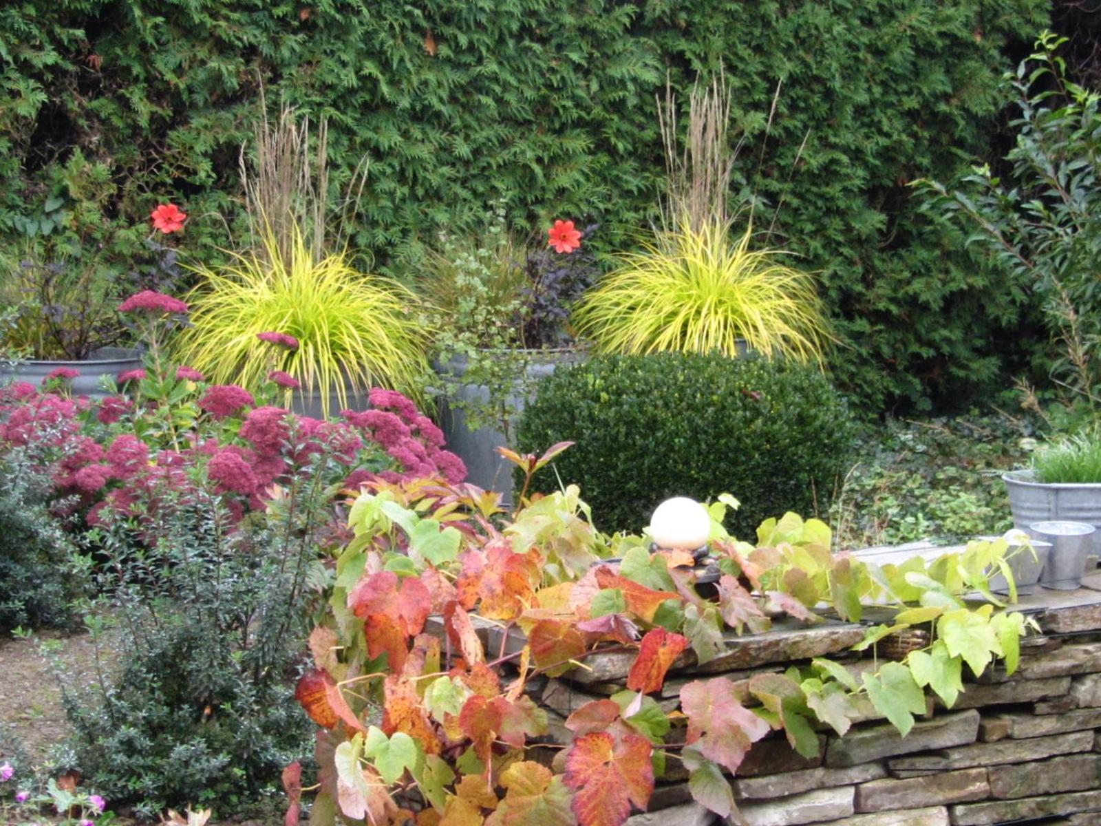 Bed and Breakfast Reve Gourmand Beauraing Esterno foto